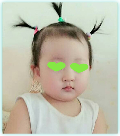 加拿大代孕价格
